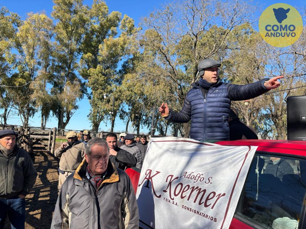 Adolfo S. Koerner y Cía